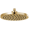 Essential Shower Series 10" Linear Round Single-Function Raincan Shower Head - 1.75 GPM - Brilliance® Polished Gold