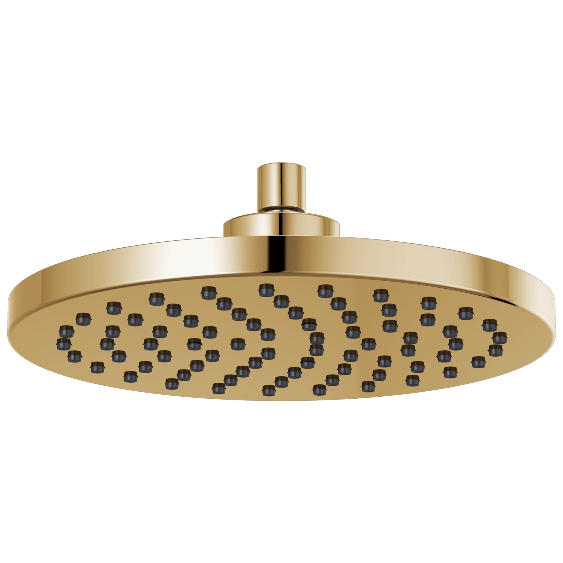 Essential Shower Series 10" Linear Round Single-Function Raincan Shower Head - 1.75 GPM - Brilliance® Polished Gold