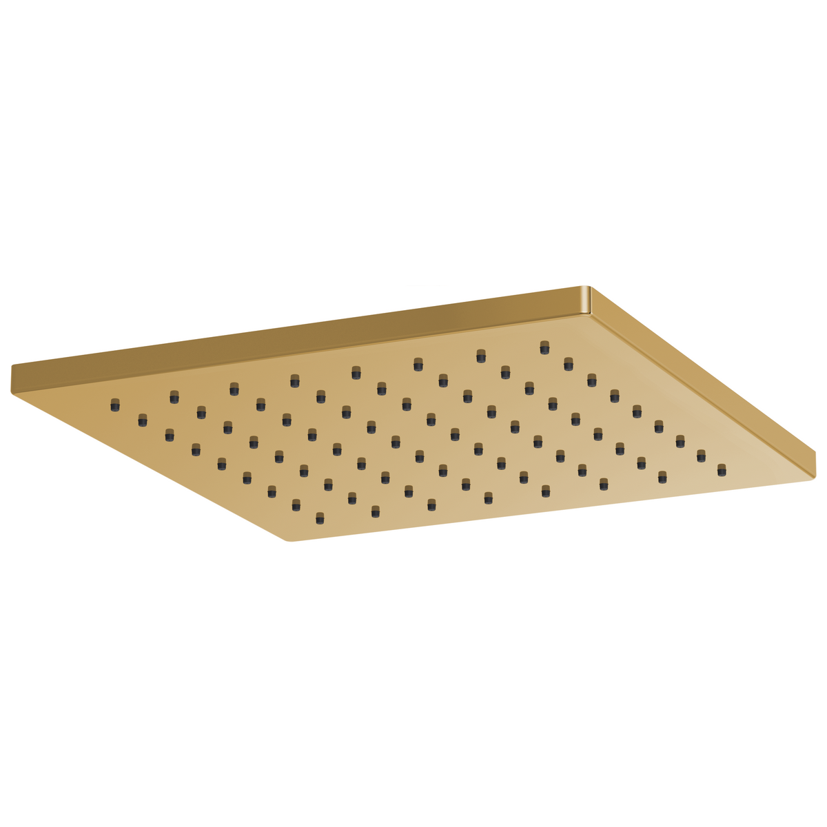 Essential Shower Series 12" Linear Square Single-Function Raincan Shower Head - 1.75 GPM - Brilliance® Polished Gold