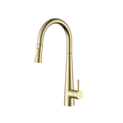 Aquaflo Echo Pull-Down Kitchen Faucet - KFE16