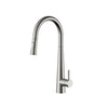 Aquaflo Echo Pull-Down Kitchen Faucet - KFE16