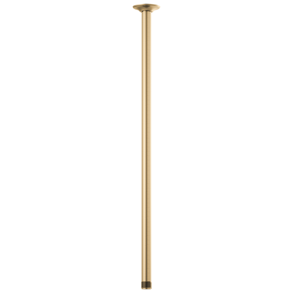Essential Shower Series 24" Ceiling Mount Shower Arm And Round Flange - Brilliance® Luxe Gold®