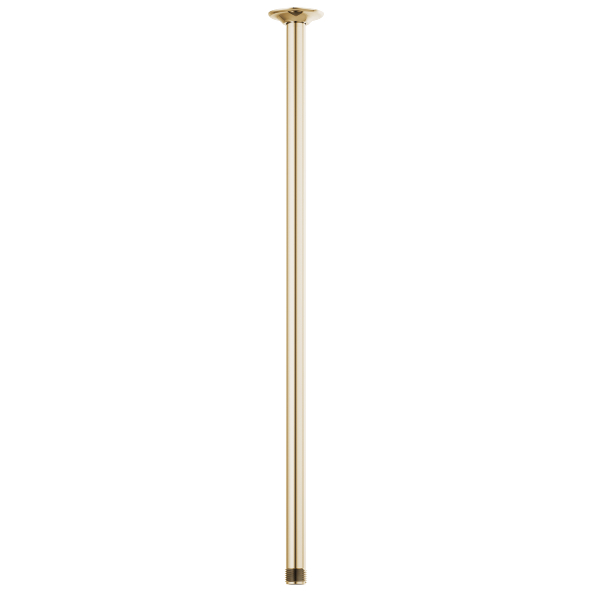Essential Shower Series 24" Ceiling Mount Shower Arm And Round Flange - Brilliance® Polished Gold