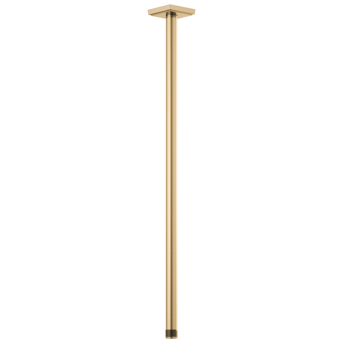 Essential Shower Series 24" Ceiling Mount Shower Arm And Square Flange - Brilliance® Luxe Gold®