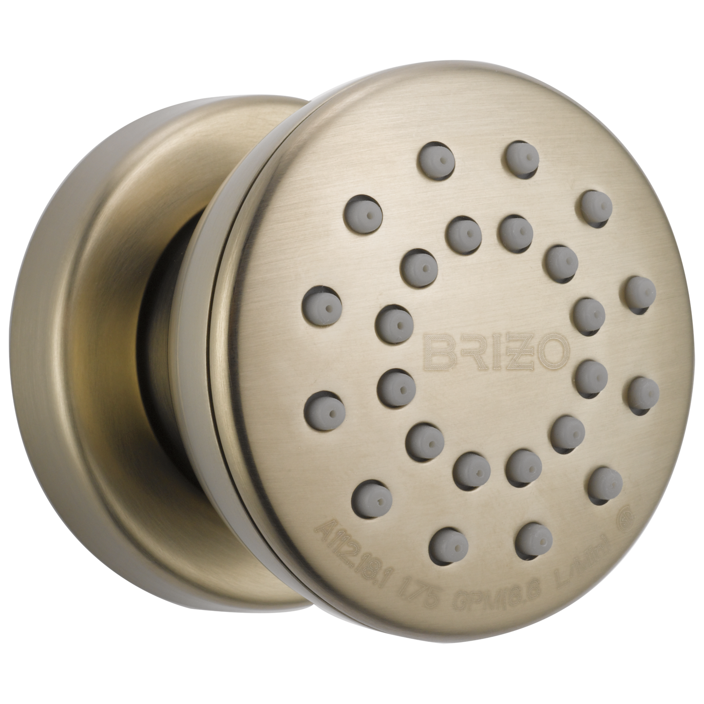 Essential Shower Series Touch-Clean Round Body Spray - Brilliance® Brushed Nickel