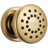 Essential Shower Series Touch-Clean Round Body Spray - Brilliance® Polished Gold
