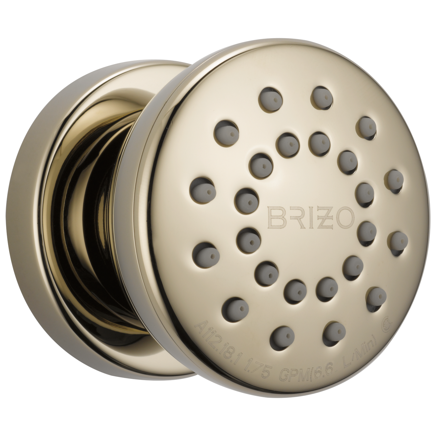 Essential Shower Series Touch-Clean Round Body Spray - Brilliance® Polished Nickel
