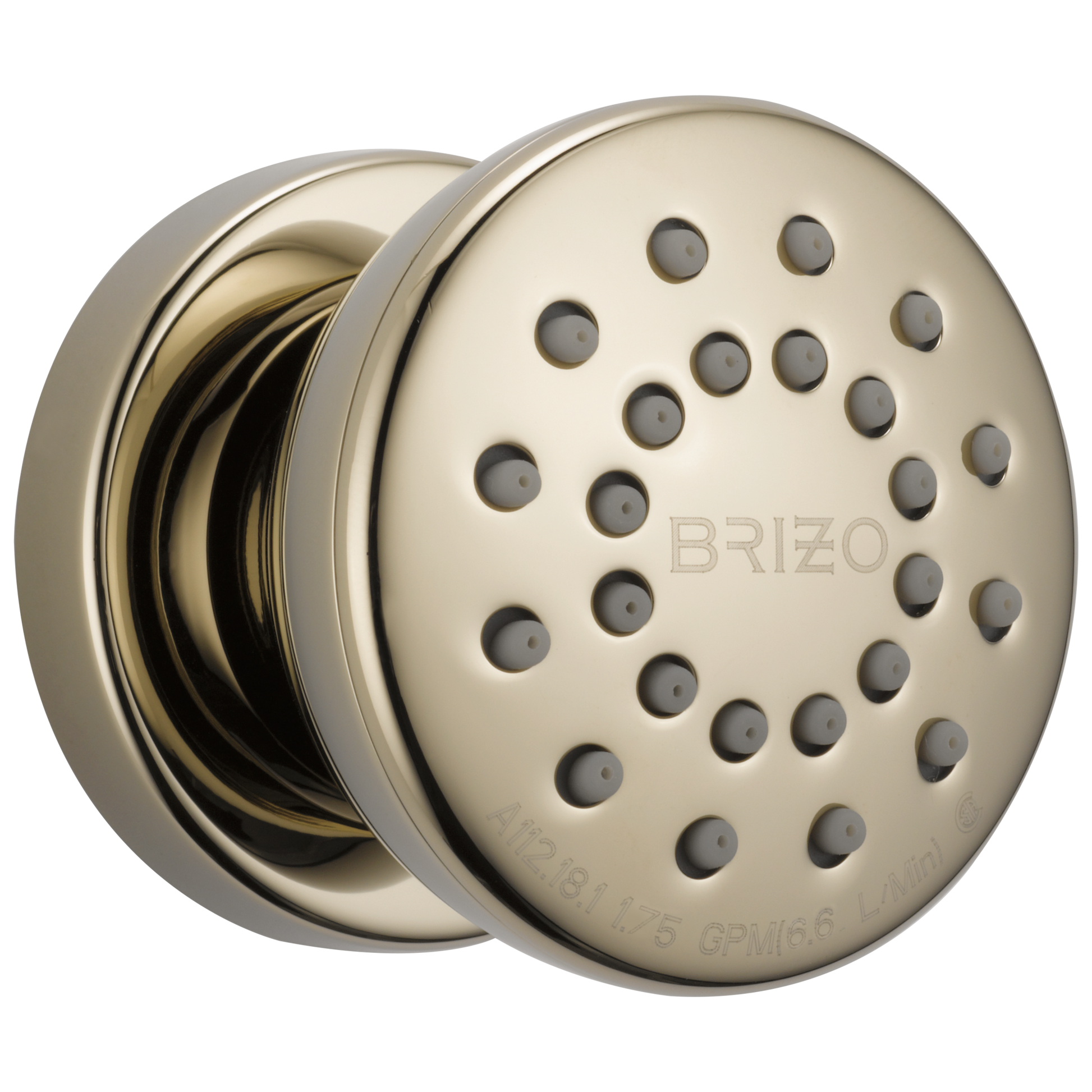 Essential Shower Series Touch-Clean Round Body Spray - Brilliance® Polished Nickel