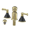 Rubinet Bidet Fitting with Spray, Diverter, and Vacum Breaker (Less Drain) Gold