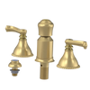 Rubinet Bidet Fitting with Spray, Diverter, and Vacum Breaker (Less Drain) Satin Gold