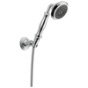 Brizo Multifunction Wall Mount Handshower