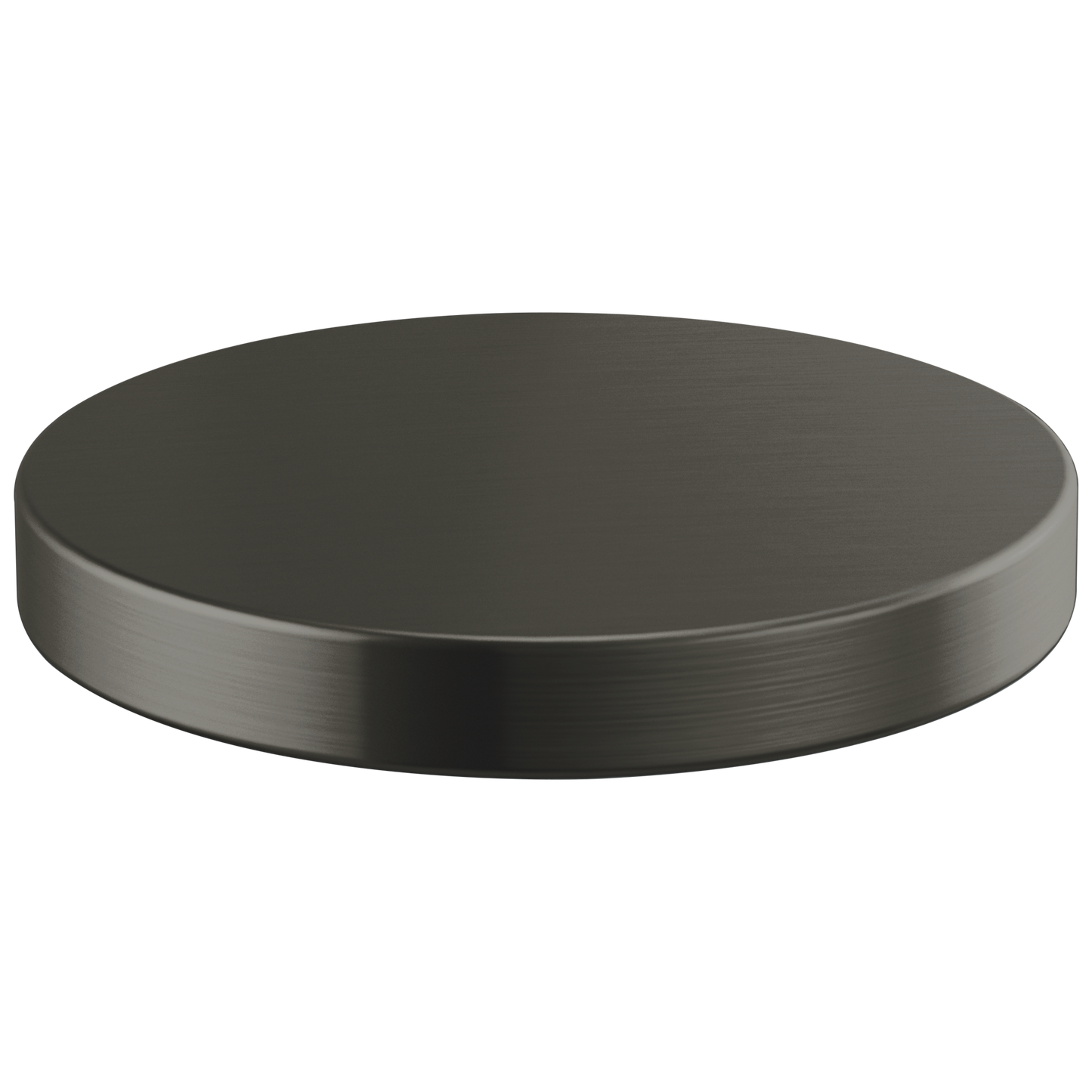 Brizo Hole Cover