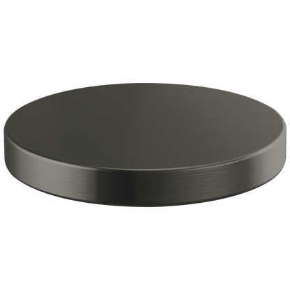 Brizo Hole Cover