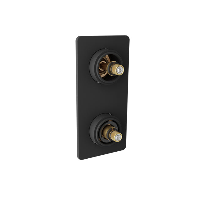 Baril Thermostatic pressure balanced shower valve with 2-way diverter (without handle)
