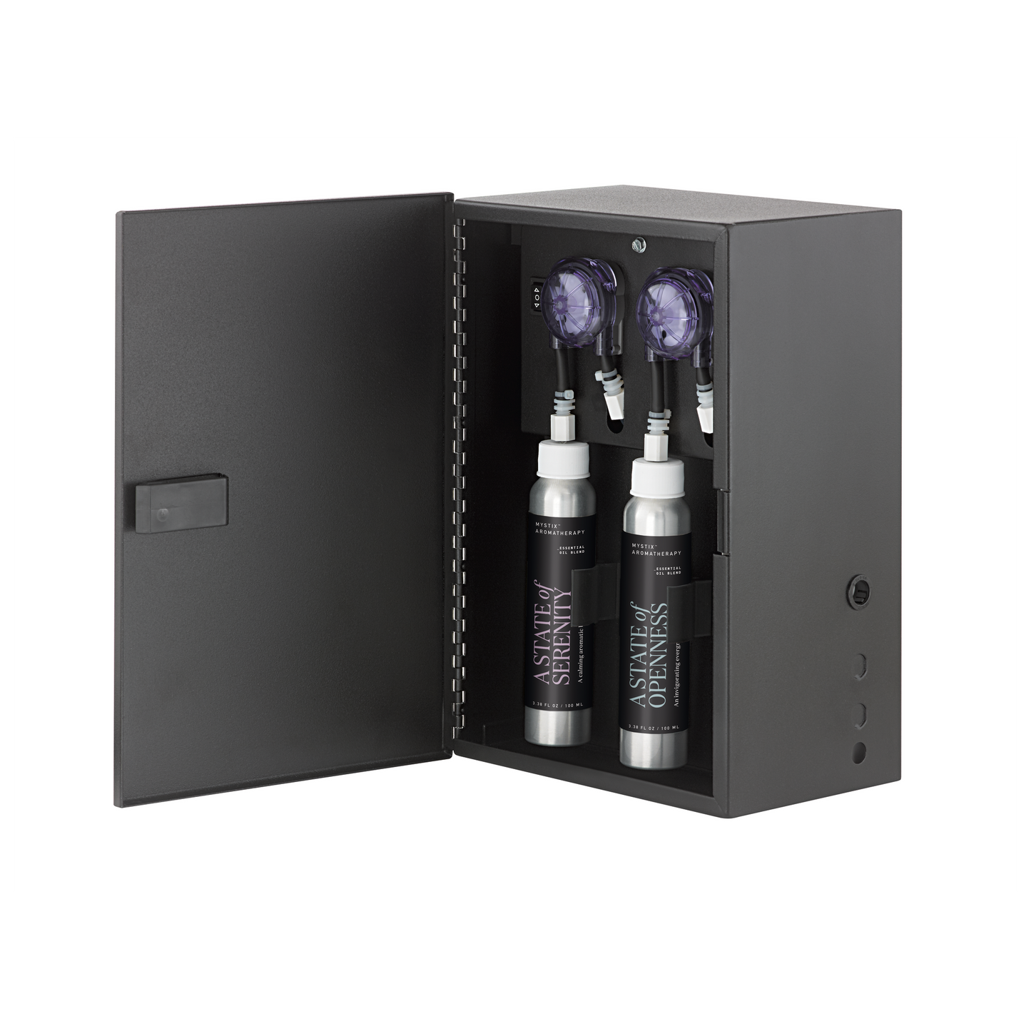 Brizo Audio System - 5