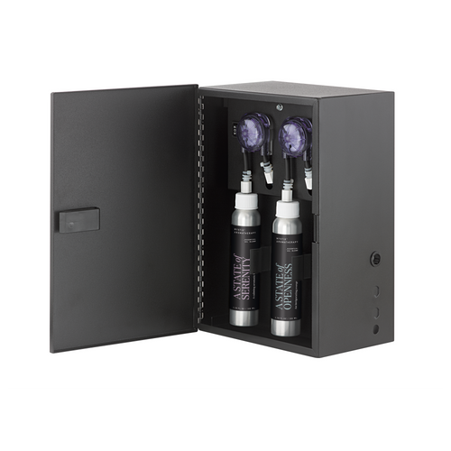 Brizo Audio System - 5