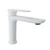 Baril Single-hole lavatory faucet, drain included