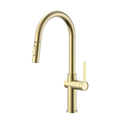 Aquaflo Glanz Pull Down Kitchen Faucet - KFG16