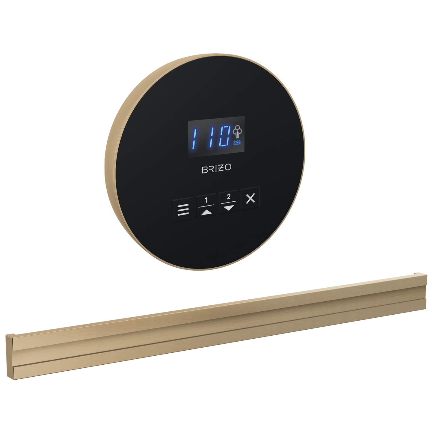 Brizo Round Bilateral Steam Set