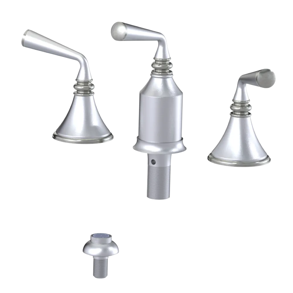 Rubinet Bidet Fitting with Spray, Diverter, and Vacum Breaker (Less Drain) Satin Chrome