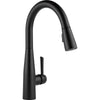 Essa Single Handle Pull-down Kitchen Faucet - Matte Black