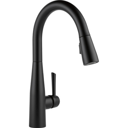 Essa Single Handle Pull-down Kitchen Faucet - Matte Black