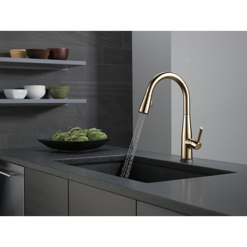 Delta Single Handle Pull-Down Kitchen Faucet with Touch2O Technology Technology