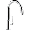 Trinsic Trinsic Pull-down Kitchen Faucet 1.5 GPM - Chrome