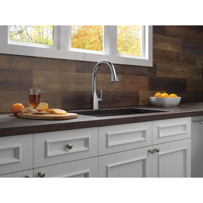 Delta Single Handle Pull-Down Kitchen Faucet with ShieldSpray