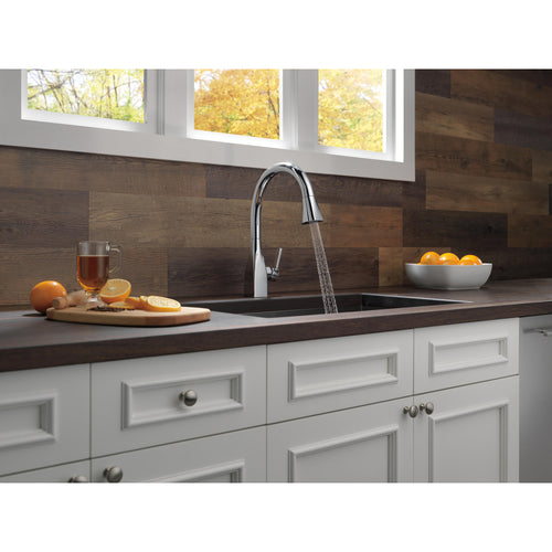 Delta Single Handle Pull-Down Kitchen Faucet with ShieldSpray