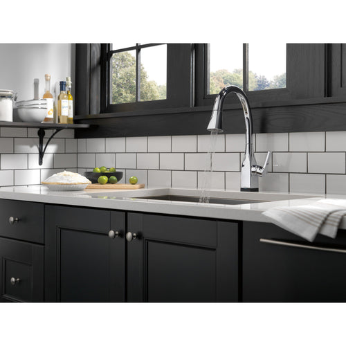 Delta Single Handle Pull-Down Kitchen Faucet with Touch2O and ShieldSpray Technologies