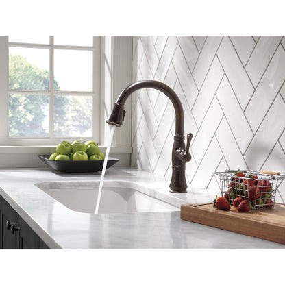Delta Single Handle Pull-Down Kitchen Faucet with ShieldSpray