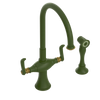 Rubinet Two Handle Single Hole Kitchen Set with Hand Spray Green Envy