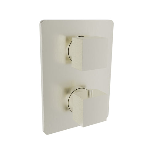 Baril Complete thermostatic pressure balanced shower control valve with 1-way diverter
