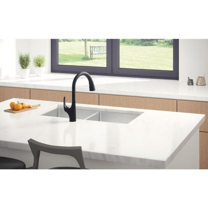 Delta PULLDOWN KITCHEN