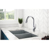 Delta PULLDOWN KITCHEN