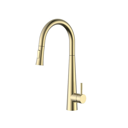 Aquaflo Echo Pull-Down Kitchen Faucet - KFE16