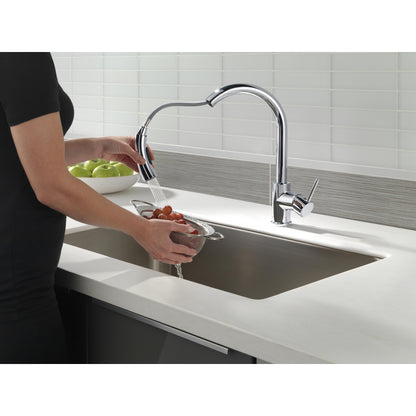 Delta SINGLE HANDLE PULL DOWN KITCHEN