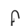 Baril Single-hole kitchen faucet with 2-function pull-down spray