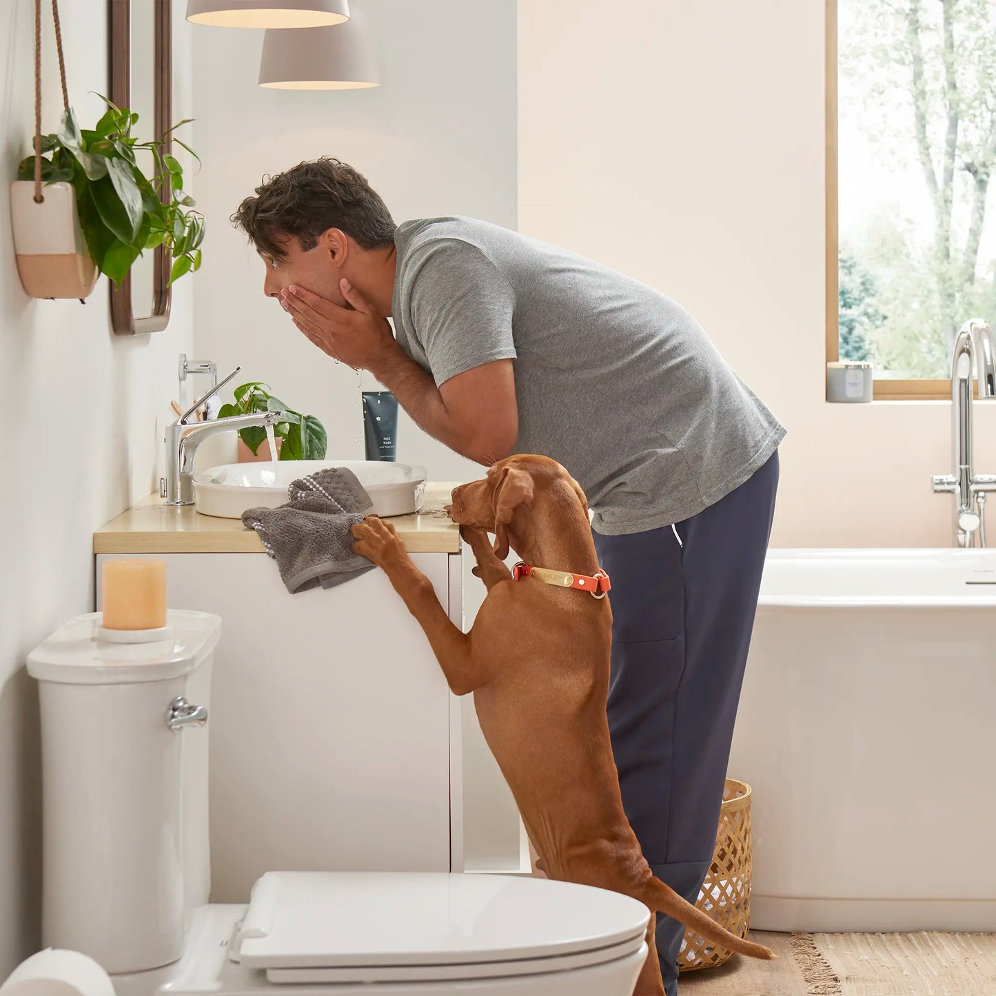 American Standard Studio S Concealed Trapway Right Height Elongated Toilet Bowl with Seat