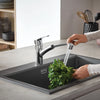 Eurosmart Single-Handle Dual Spray Pull-Out Kitchen Faucet - Golzar Home