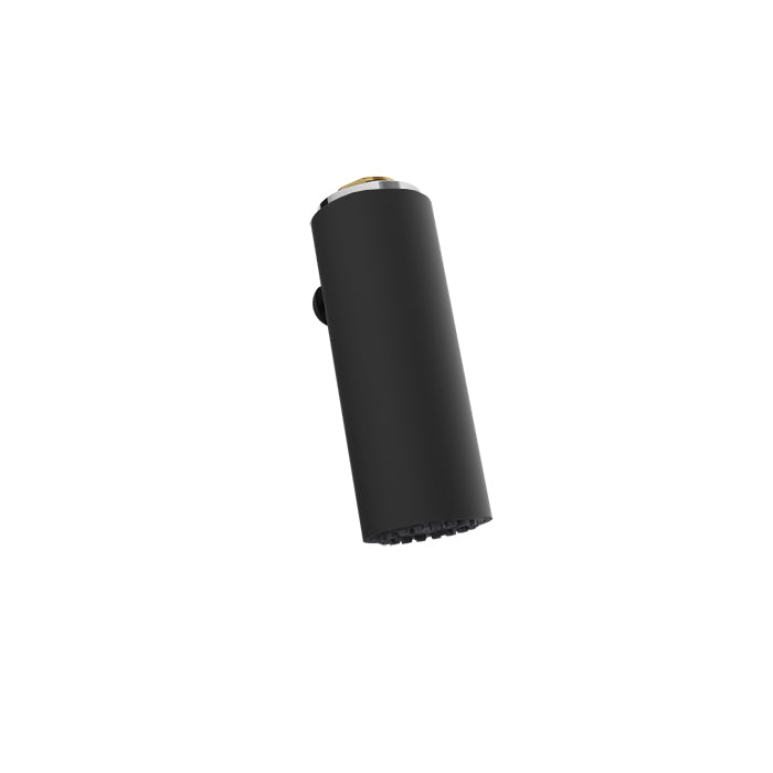 Baril Brass 2-spray hand shower