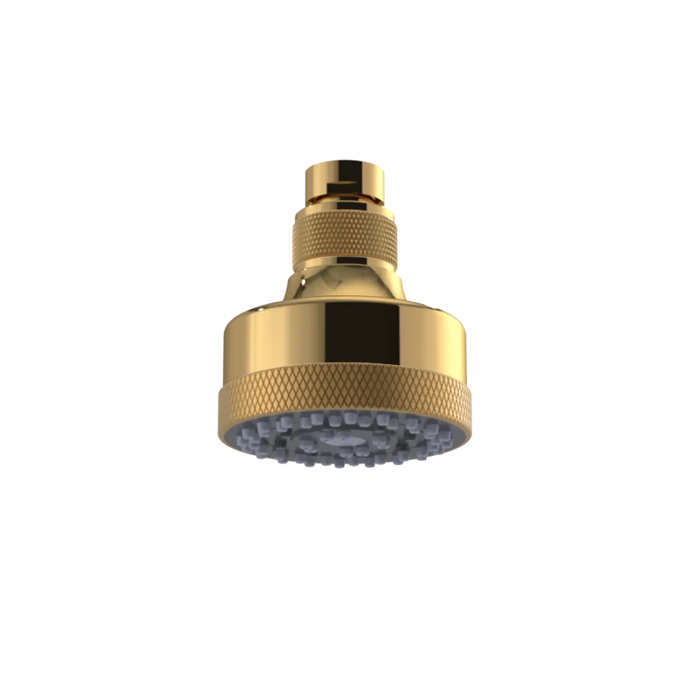 Rubinet 3 FUNCTION SHOWER HEAD Gold