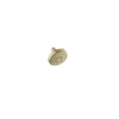 Baril 5-spray anti-limestone modern shower head