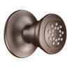 Moen Moen Chrome Body Spray