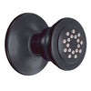 Moen Moen Chrome Body Spray