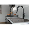 FRANKE Pescara Faucet -  PES-PD-MBK