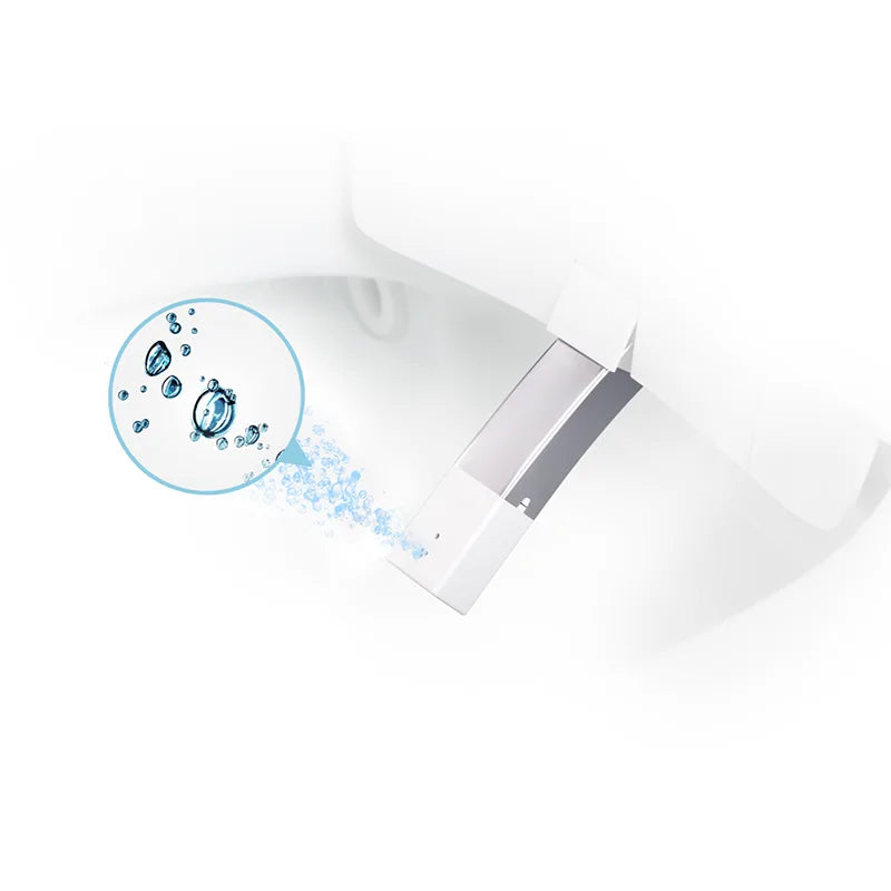 Canluxe Smart Toilet