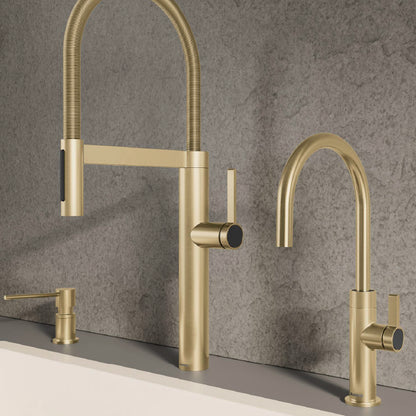 Blanco Blancoculina II Kitchen Faucet