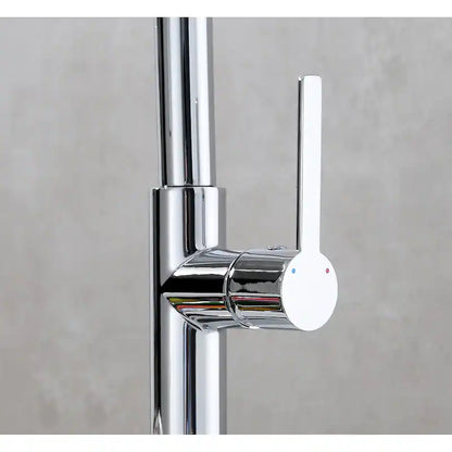 VISENTIN Pull-Out Kitchen Faucet